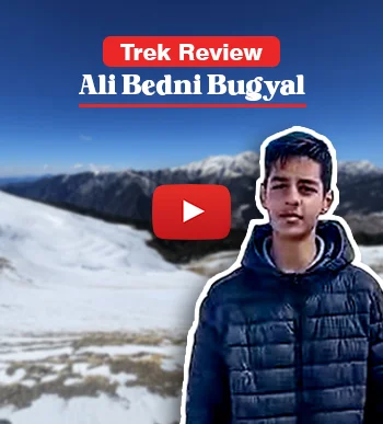 Ali Bedni Review